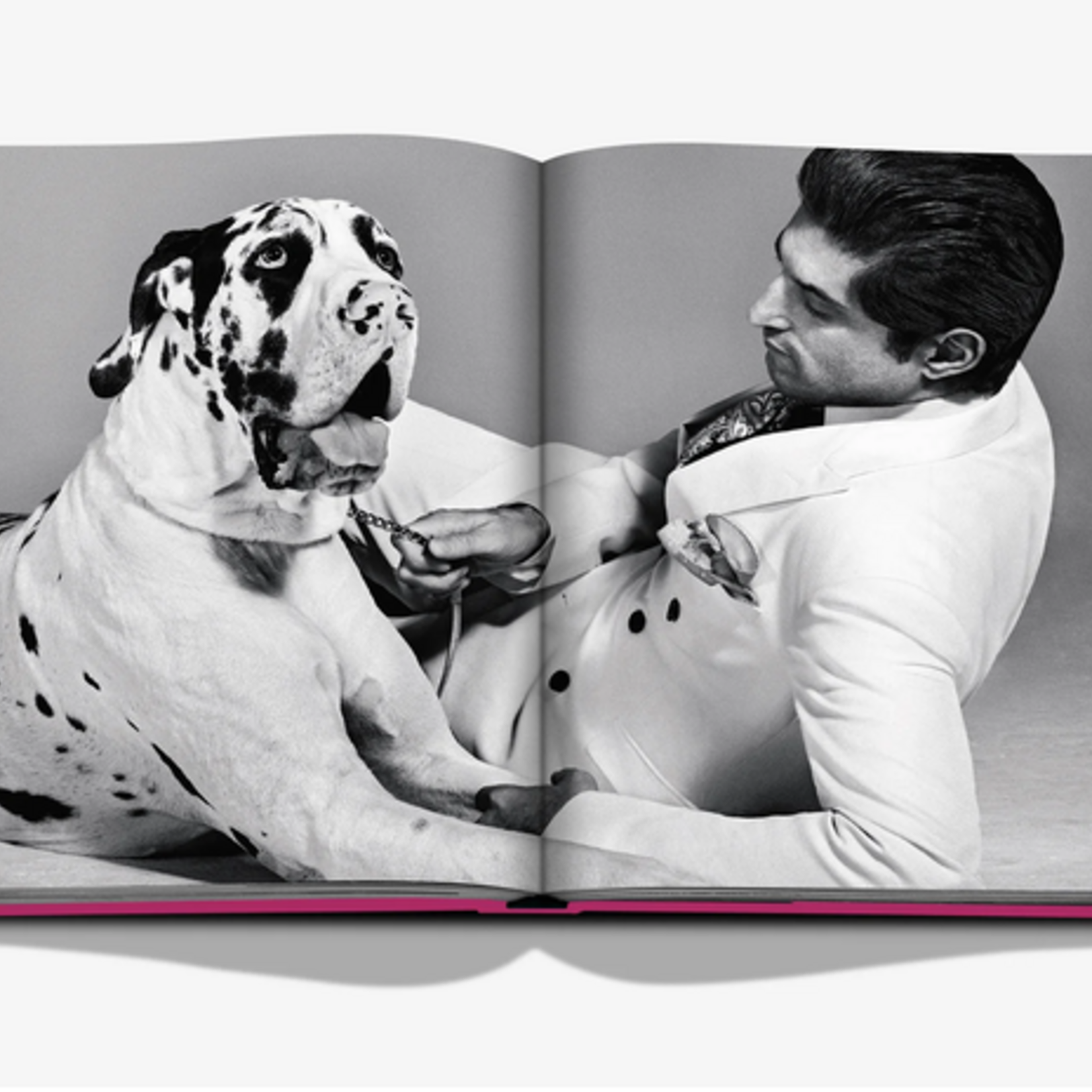 Chich Dogs by Robert Williams