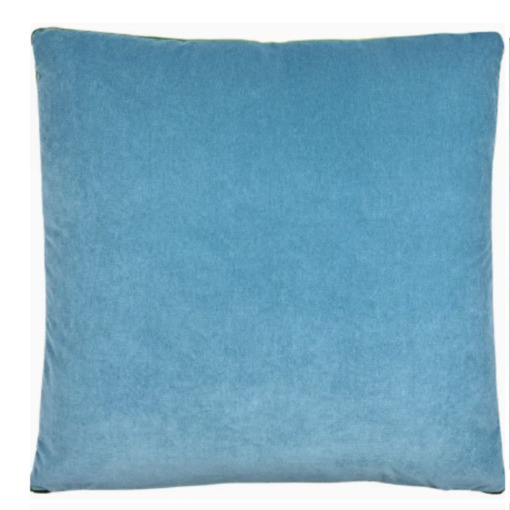 Eloise Light Blue/Lima 22" Pillow