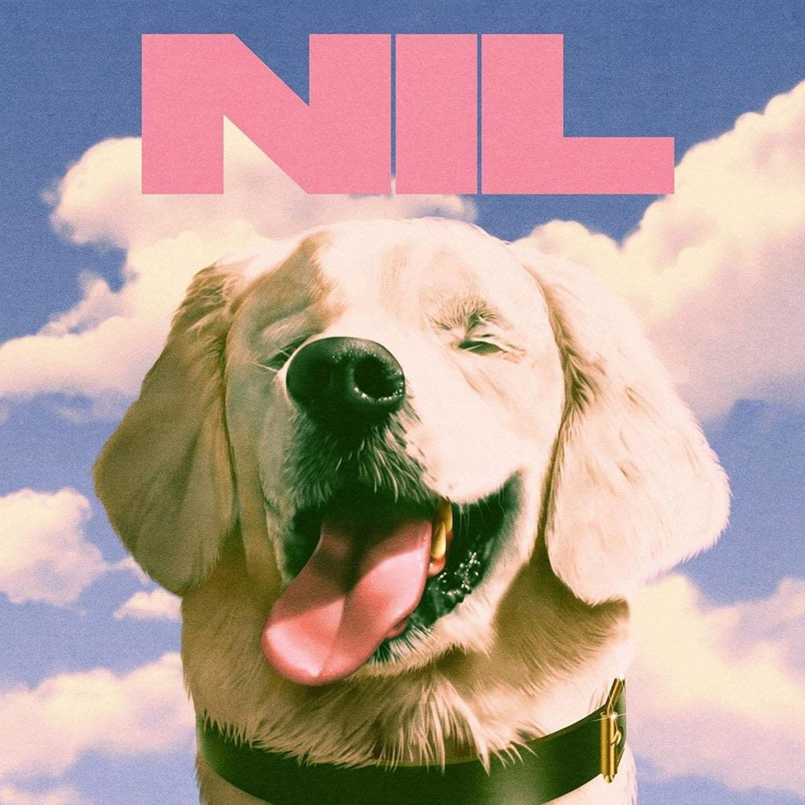 Dirty Nil - Fuck Art [CD]