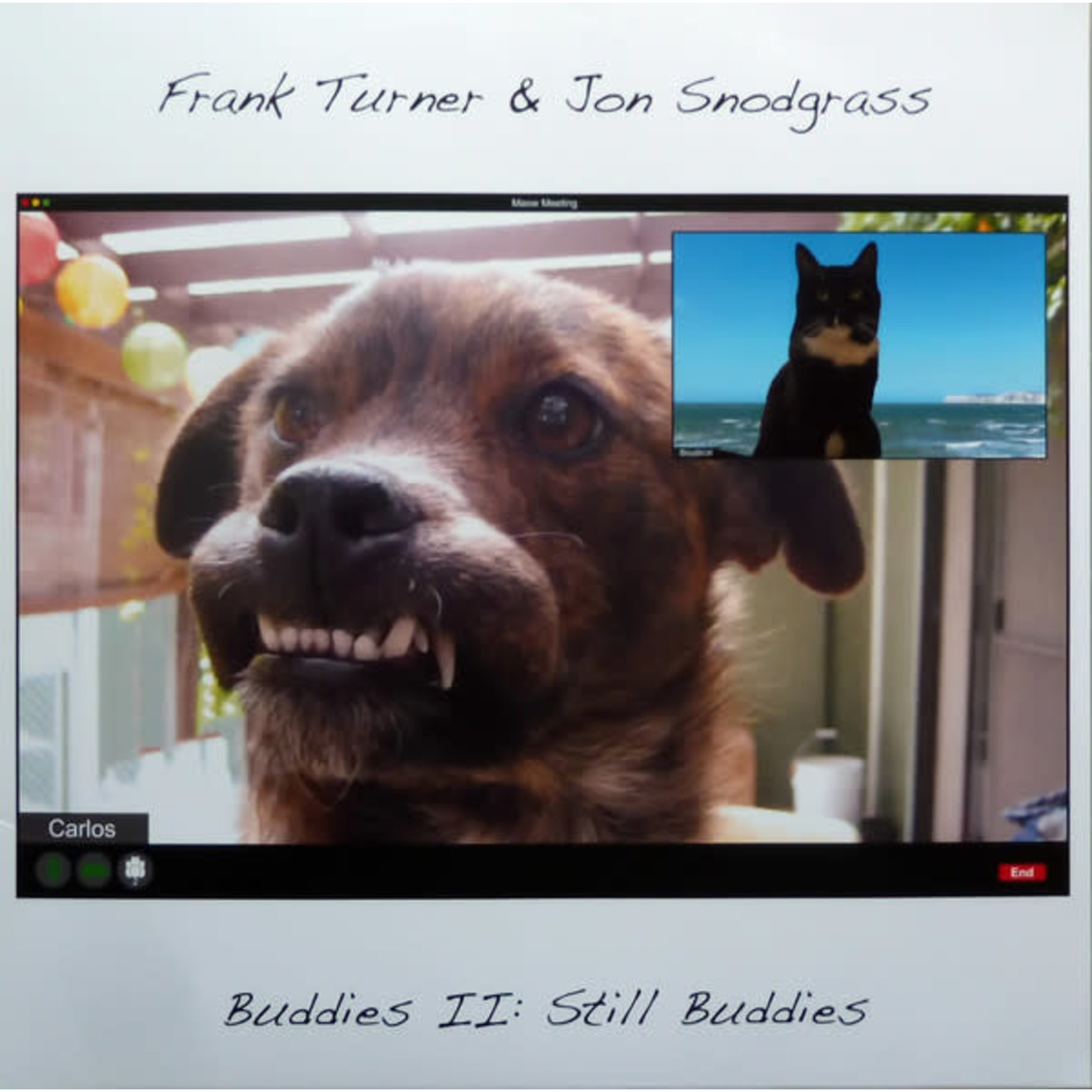 Frank Turner/Jon Snodgrass - Buddies II: Still Buddies [LP]