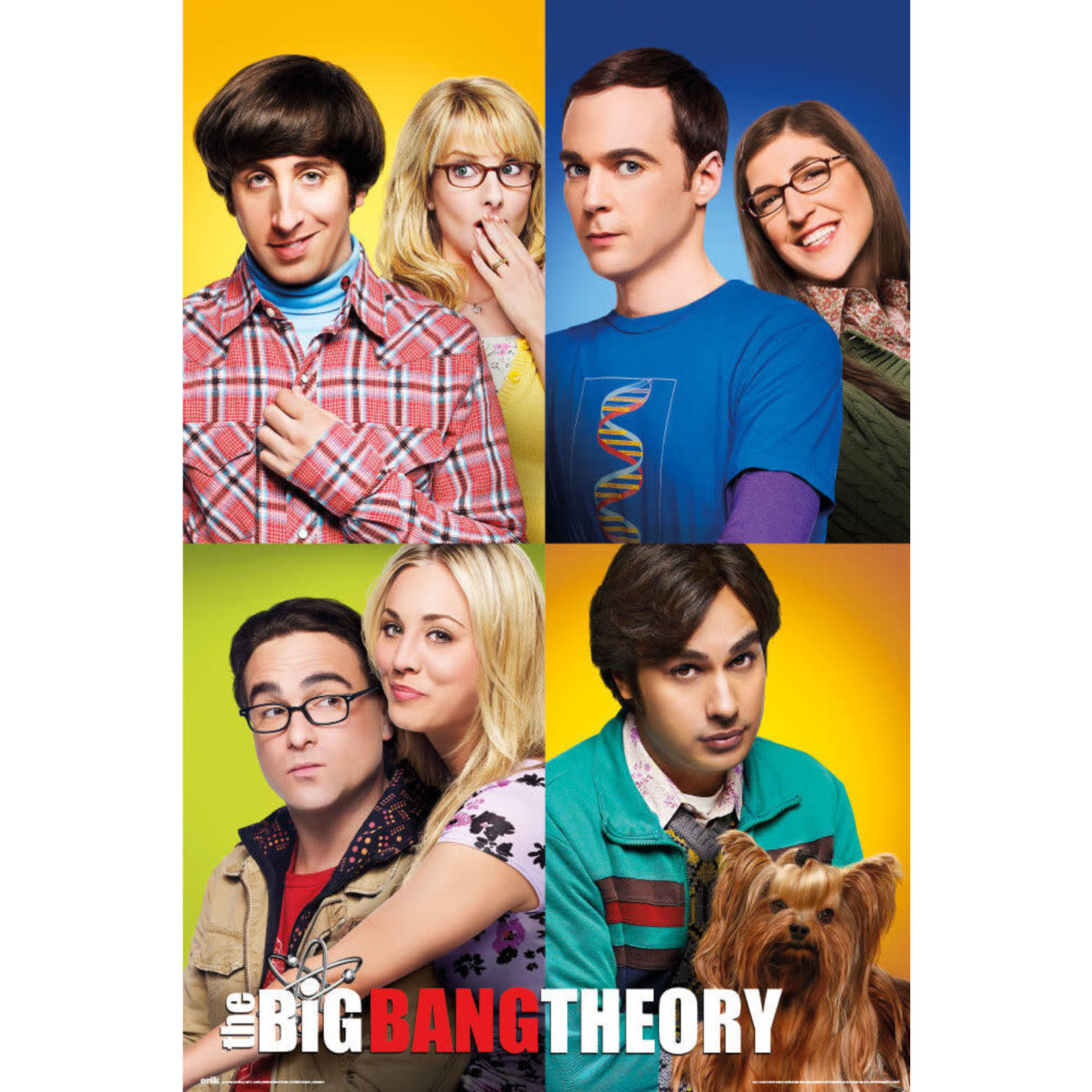 Poster - Big Bang Theory - Mosaic