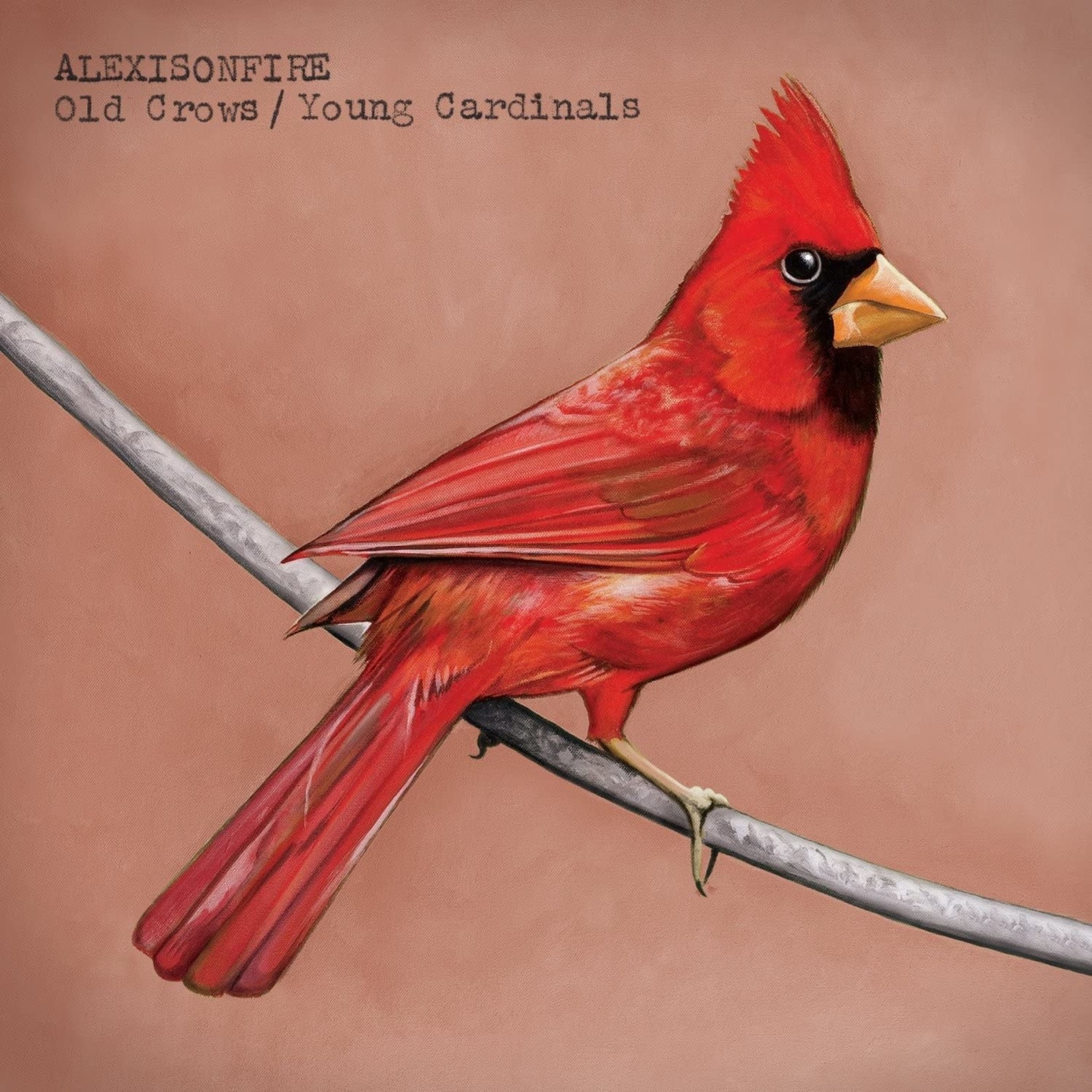 Alexisonfire - Old Crows/Young Cardinals [USED CD]