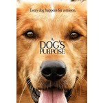 A Dog's Purpose (2017) [USED DVD]