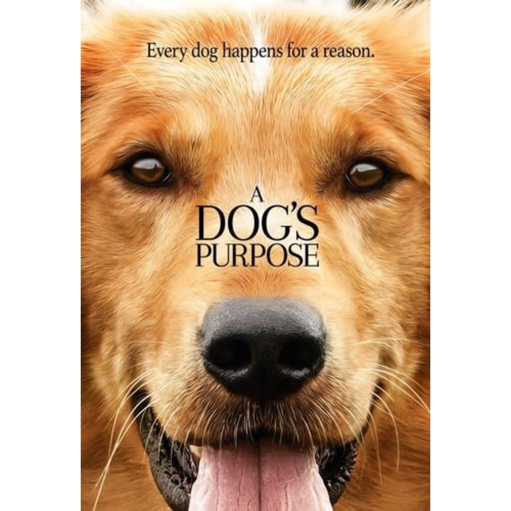 A Dog's Purpose (2017) [USED DVD]