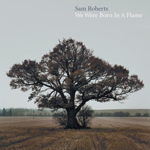 Sam Roberts - We Were Born In A Flame [USED CD]