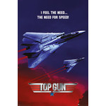 Poster - Top Gun: Need For Speed