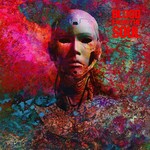 Blood From The Soul - Dsm-5 [LP]