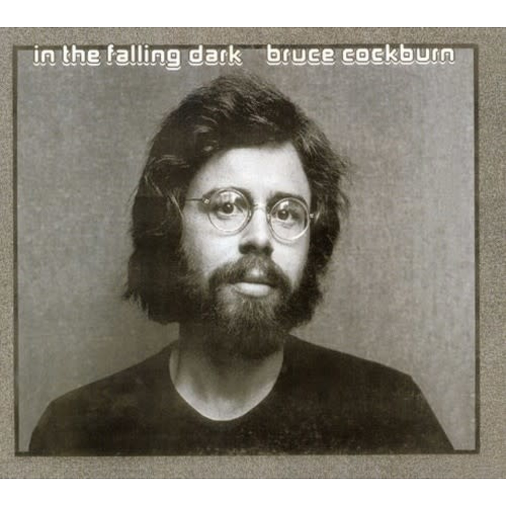 Bruce Cockburn - In The Falling Dark [USED CD]