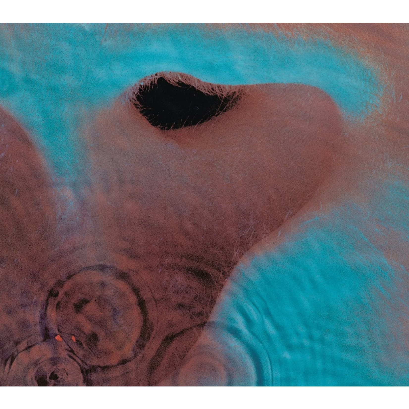 Pink Floyd - Meddle [CD]