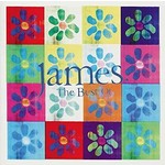 James - The Best Of [USED CD]