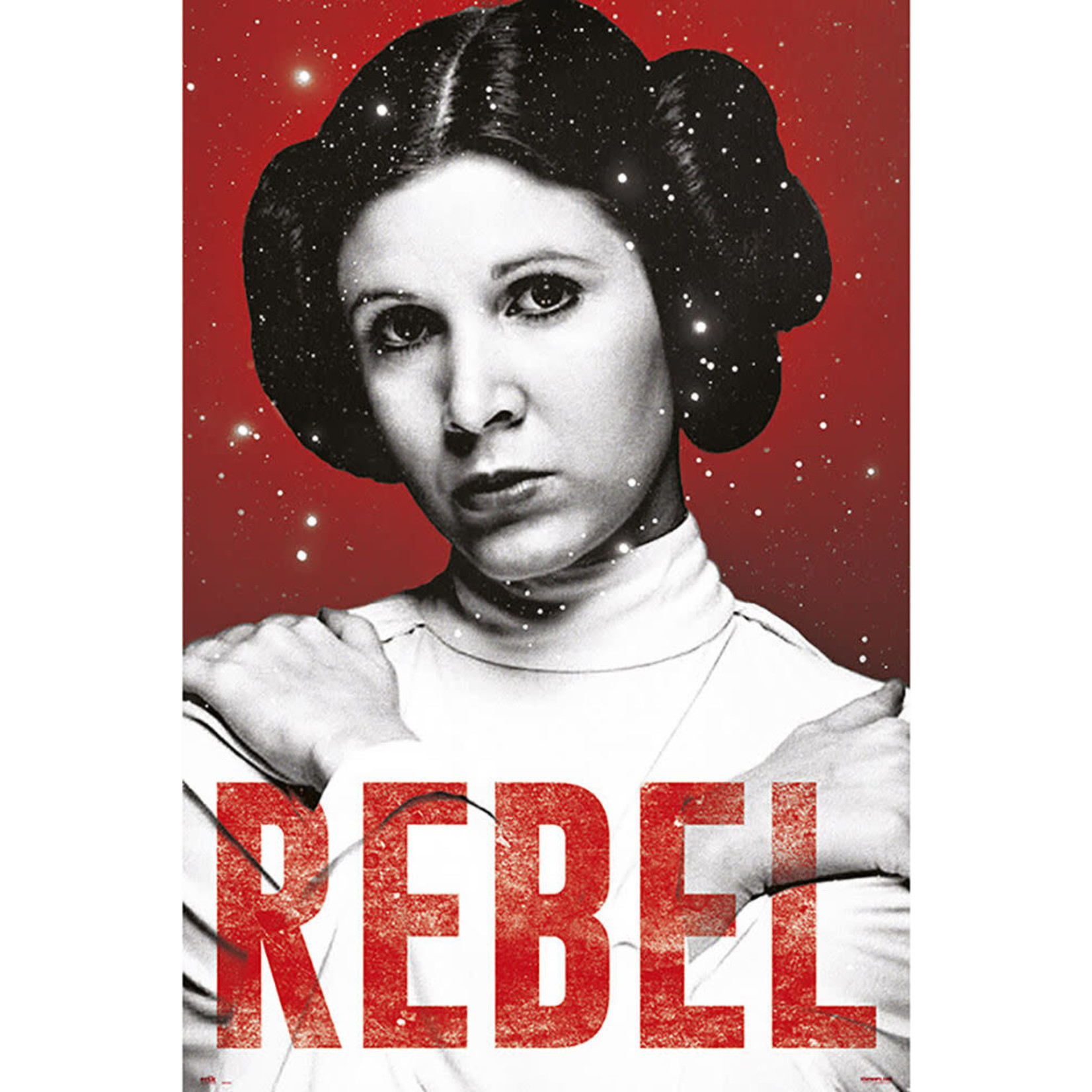 Poster - Star Wars: Leia Rebel