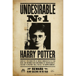 Poster - Harry Potter: Undesirable No 1