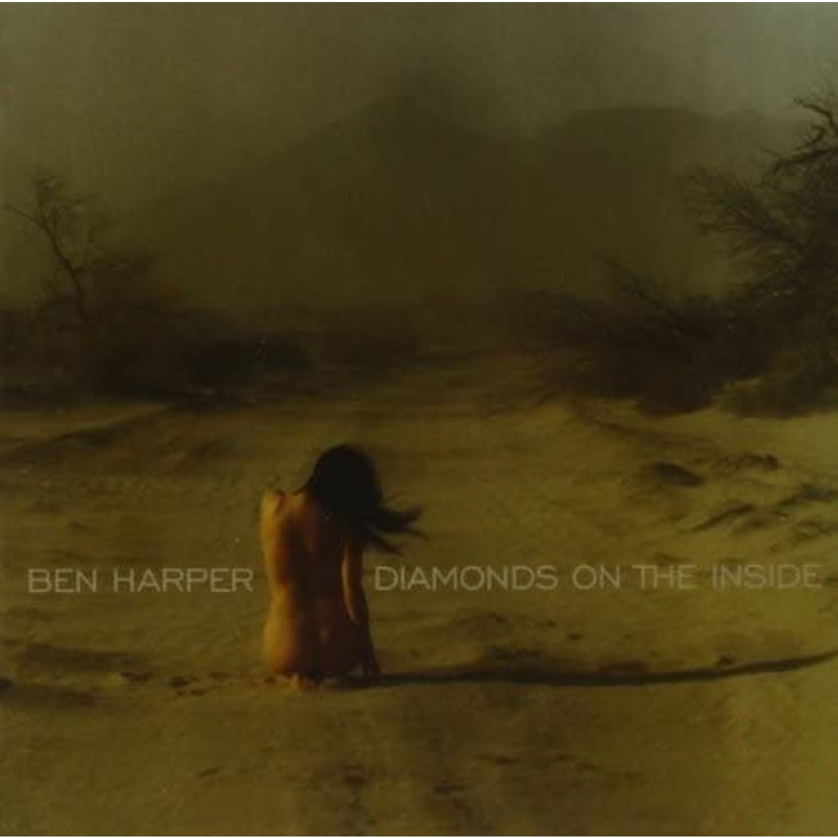 Ben Harper - Diamonds On The Inside [USED CD]