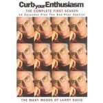 Curb Your Enthusiasm - Season 1 [USED DVD]