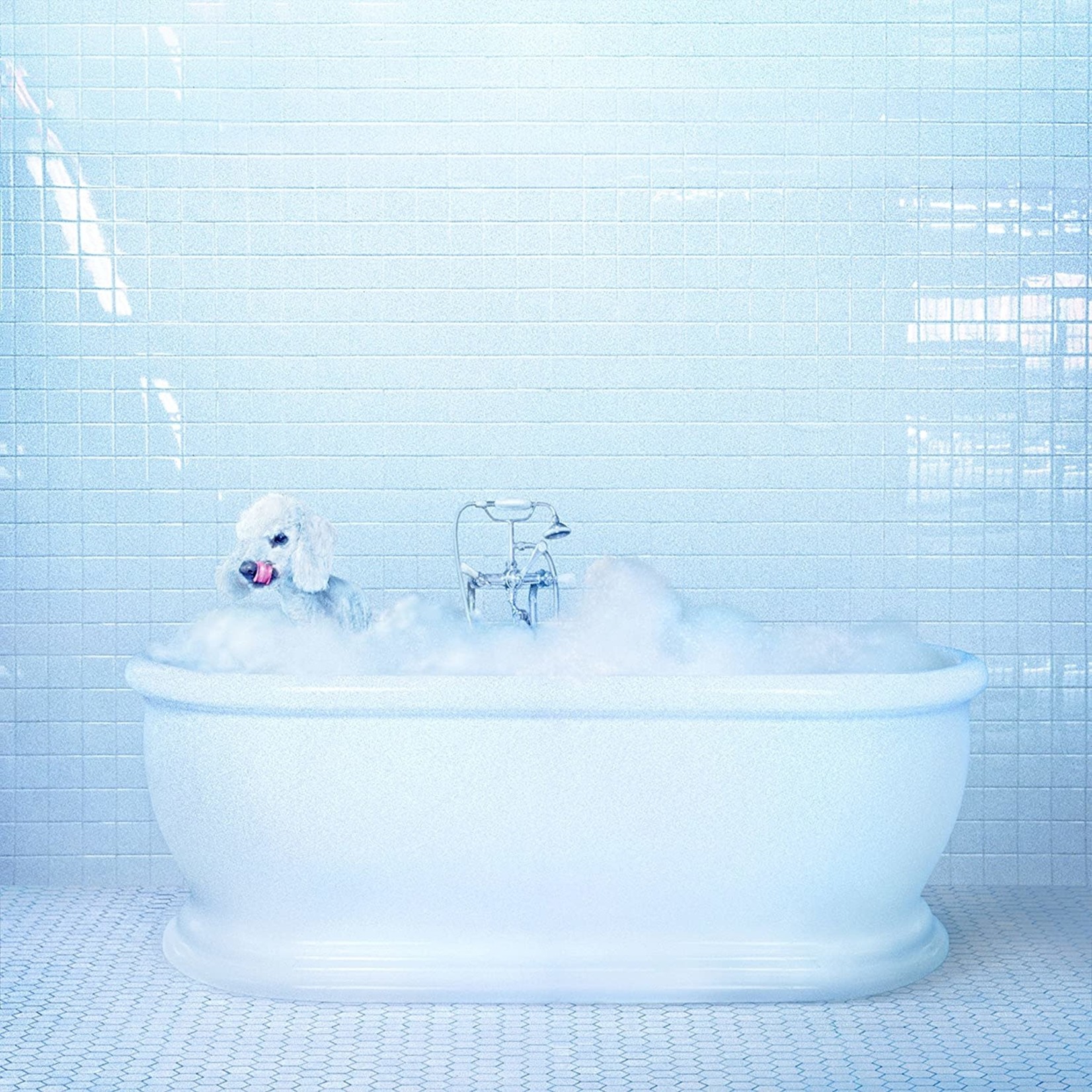 Frankie Cosmos - Vessel [USED CD]