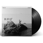 Delta Spirit - What Is There [LP]