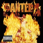 Pantera - Reinventing The Steel [CD]