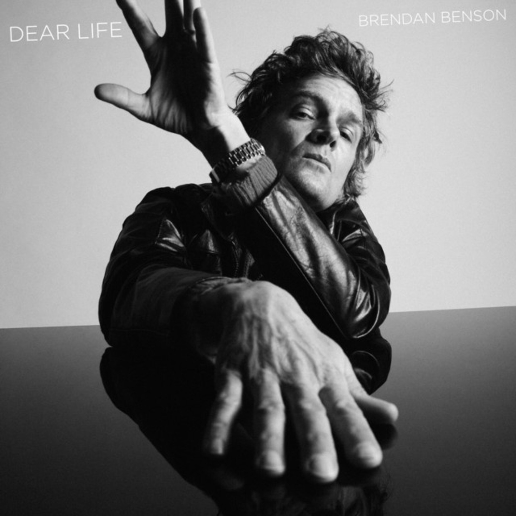 Brendan Benson - Dear Life [USED CD]