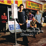 Wallflowers - (Breach) [USED CD]