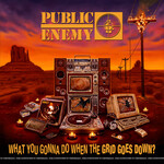 Public Enemy - What You Gonna Do When The Grid Goes Down? [CD]