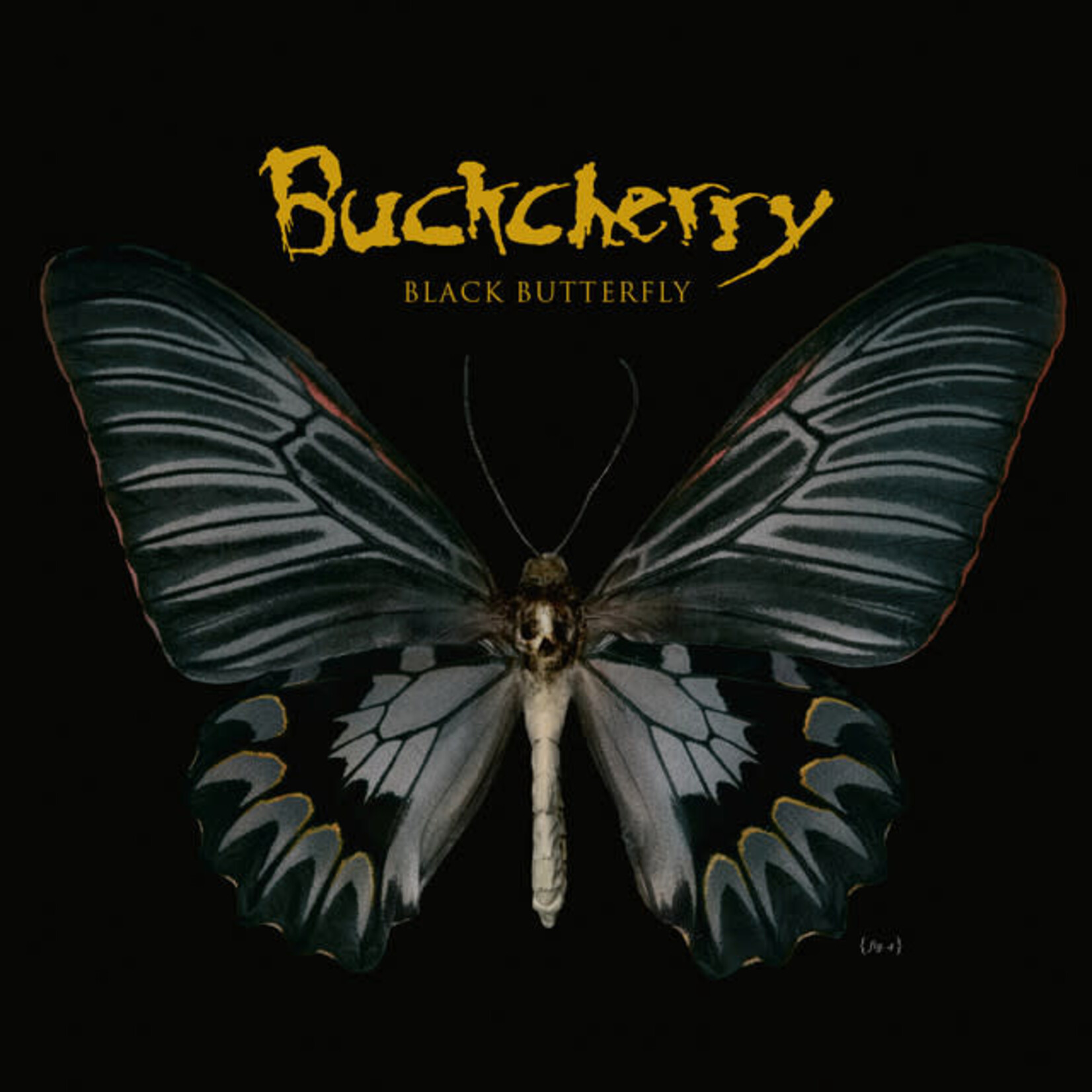 Buckcherry - Black Butterfly [USED CD]