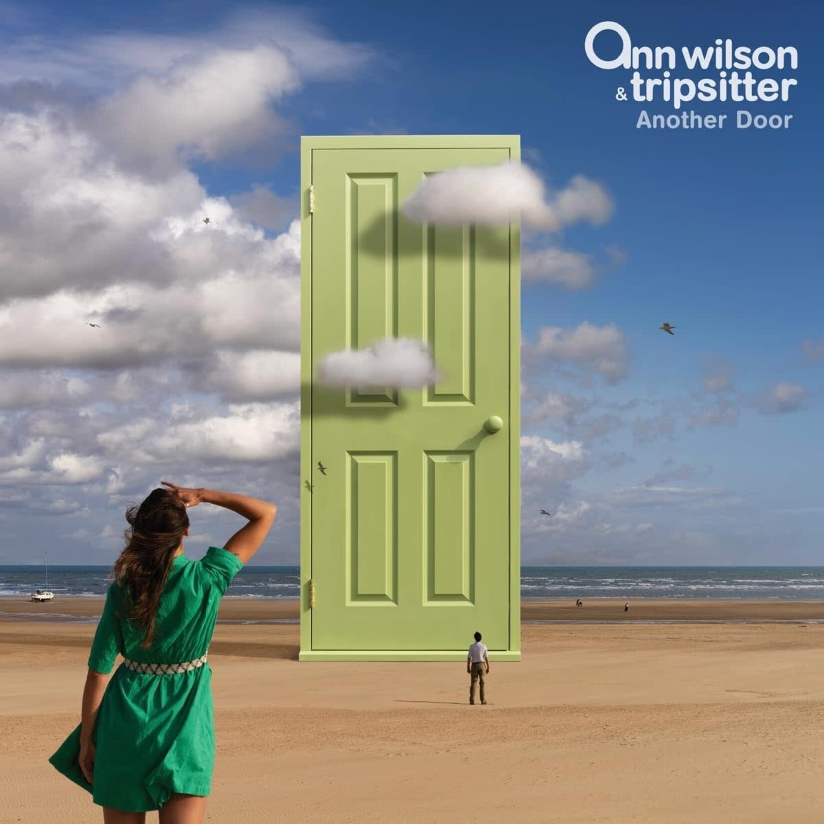 Ann Wilson - Another Door [CD]