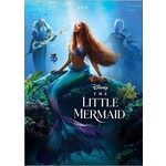 Little Mermaid (2023) [DVD]