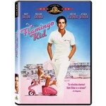Flamingo Kid (1984) [USED DVD]