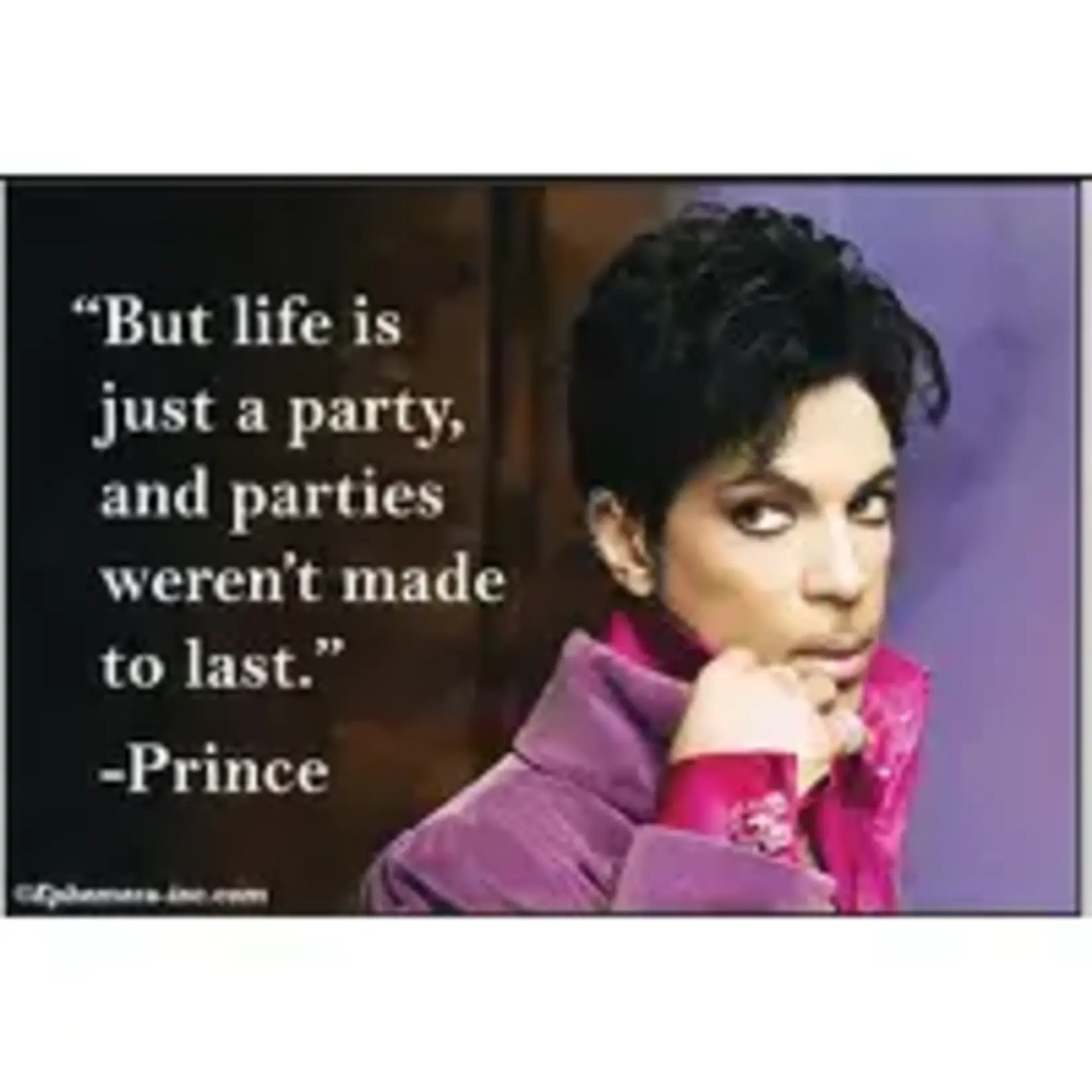 Magnet - Prince: But Life Is Just A Party And Parties Werent Made To Last.