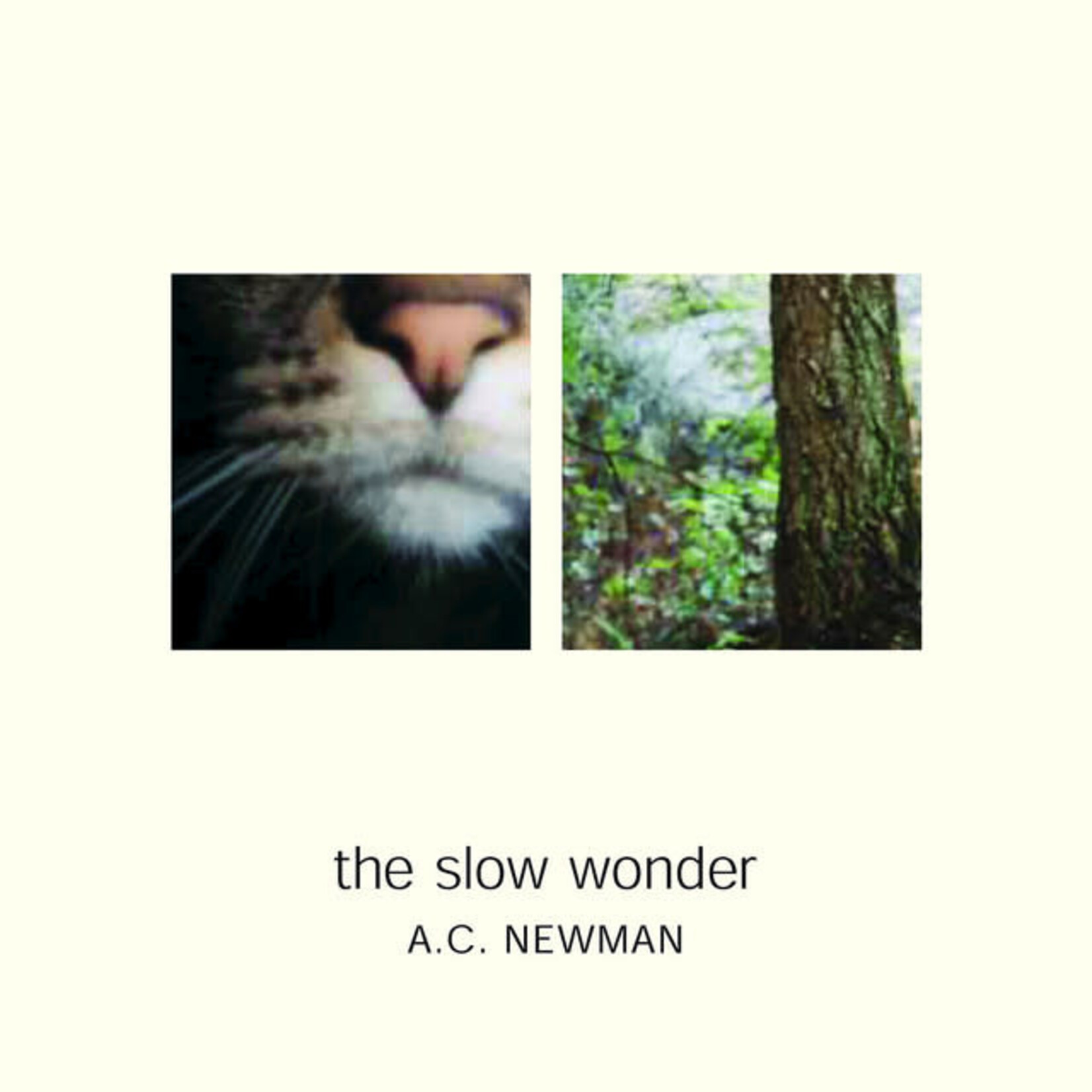 A.C. Newman - The Slow Wonder [USED CD]