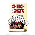 Poster - Cheech & Chong: Still Smokin'
