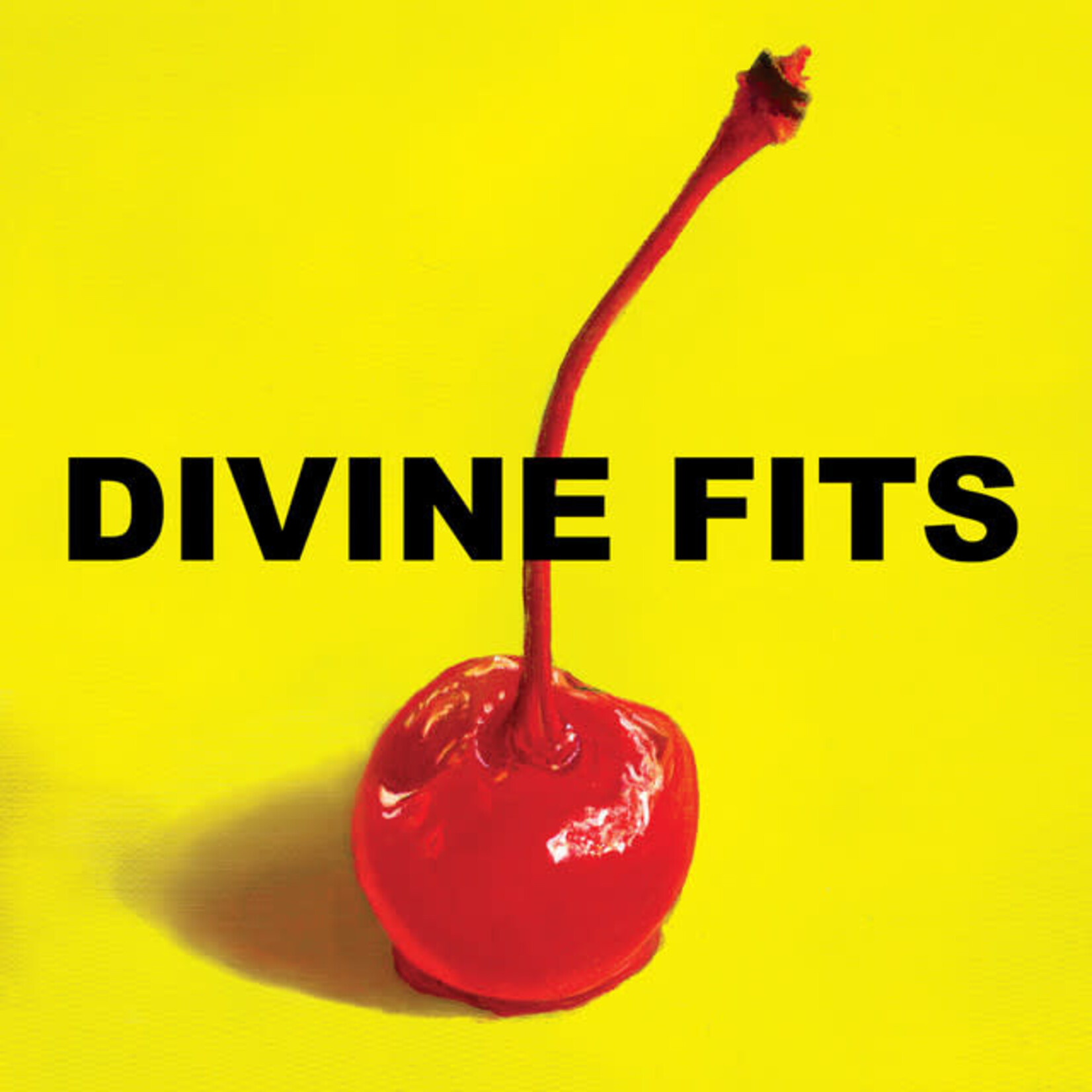Divine Fits - A Thing Called Divine Fits [USED CD]
