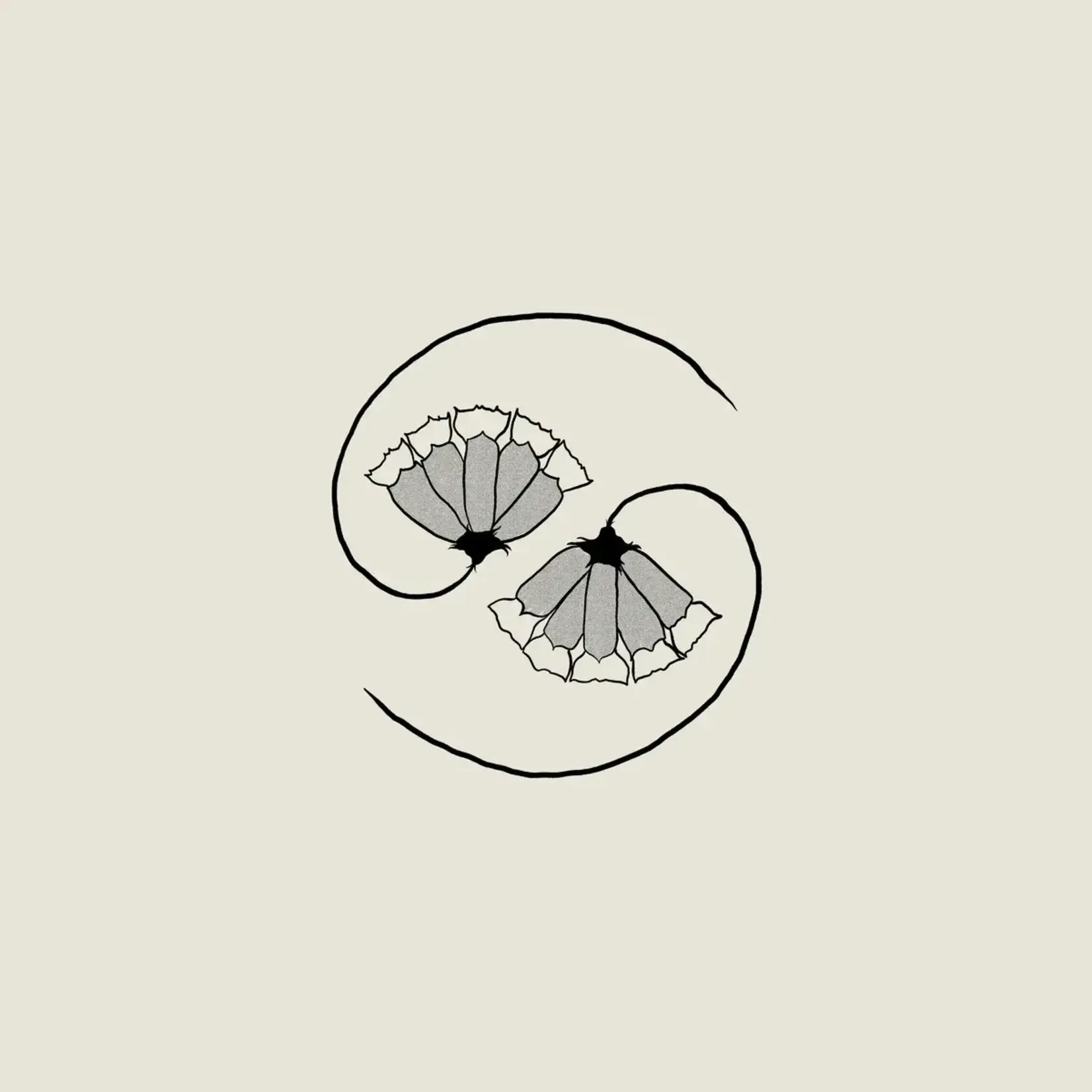 Godspeed You! Black Emperor - G_d's Pee At State's End! [LP/10"]