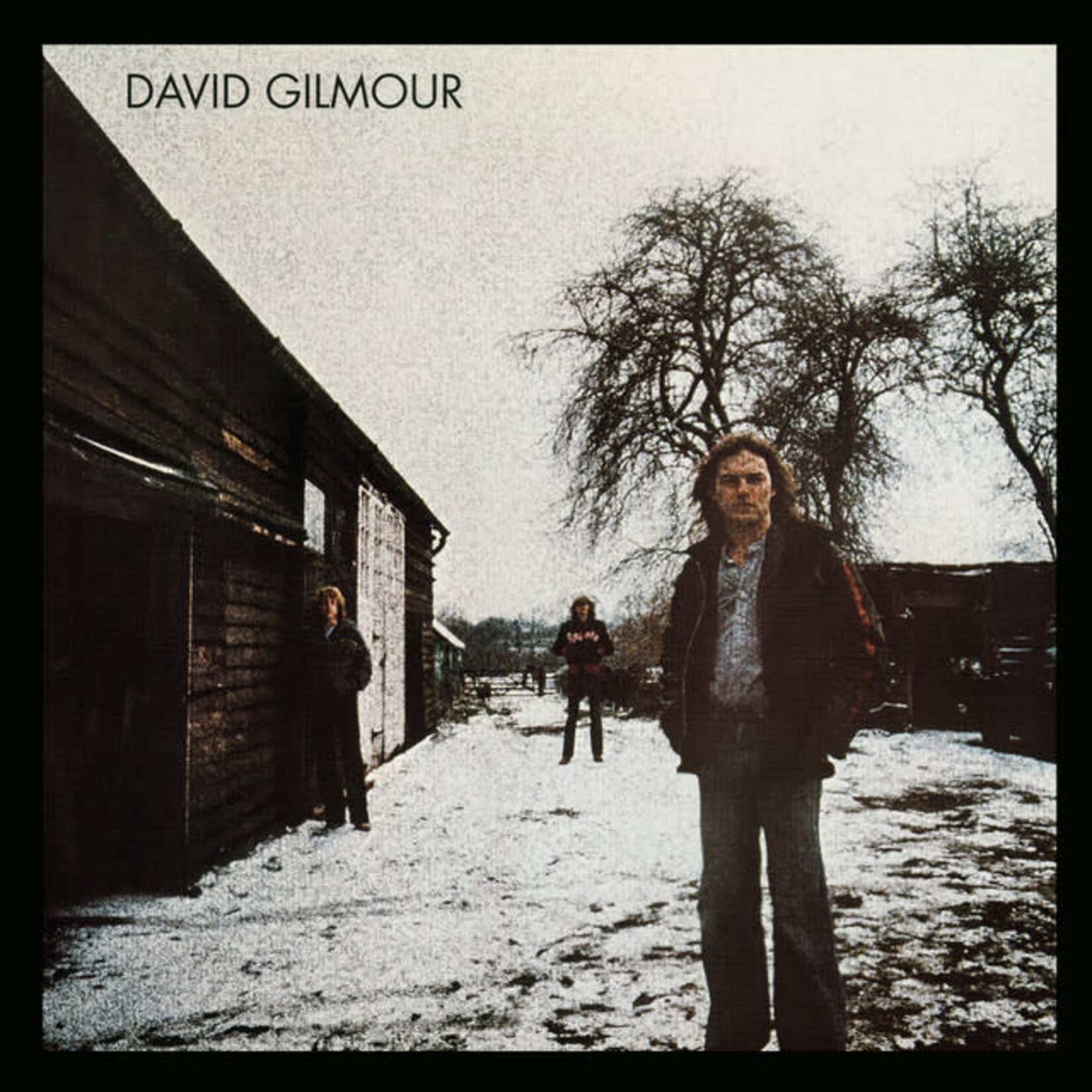 David Gilmour - David Gilmour [CD]