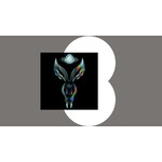 Mr. Bungle - The Night They Came Home (White Vinyl) [2LP]