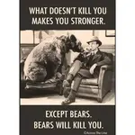 Magnet - What Doesn't Kill You Makes You Stronger. Except Bears. Bears Will Kill You.