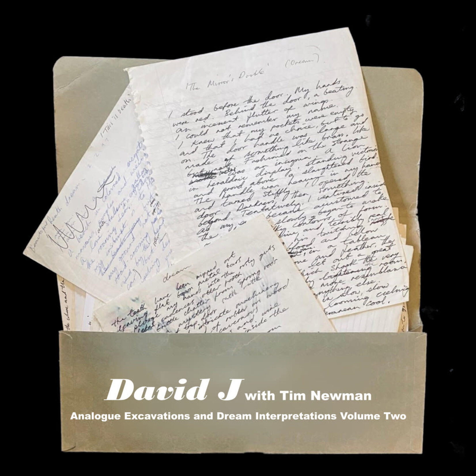 David J/Tim Newman - Analogue Excavations & Dream Interpretations Vol. 2  (Coloured Vinyl) [LP] (RSD2022)