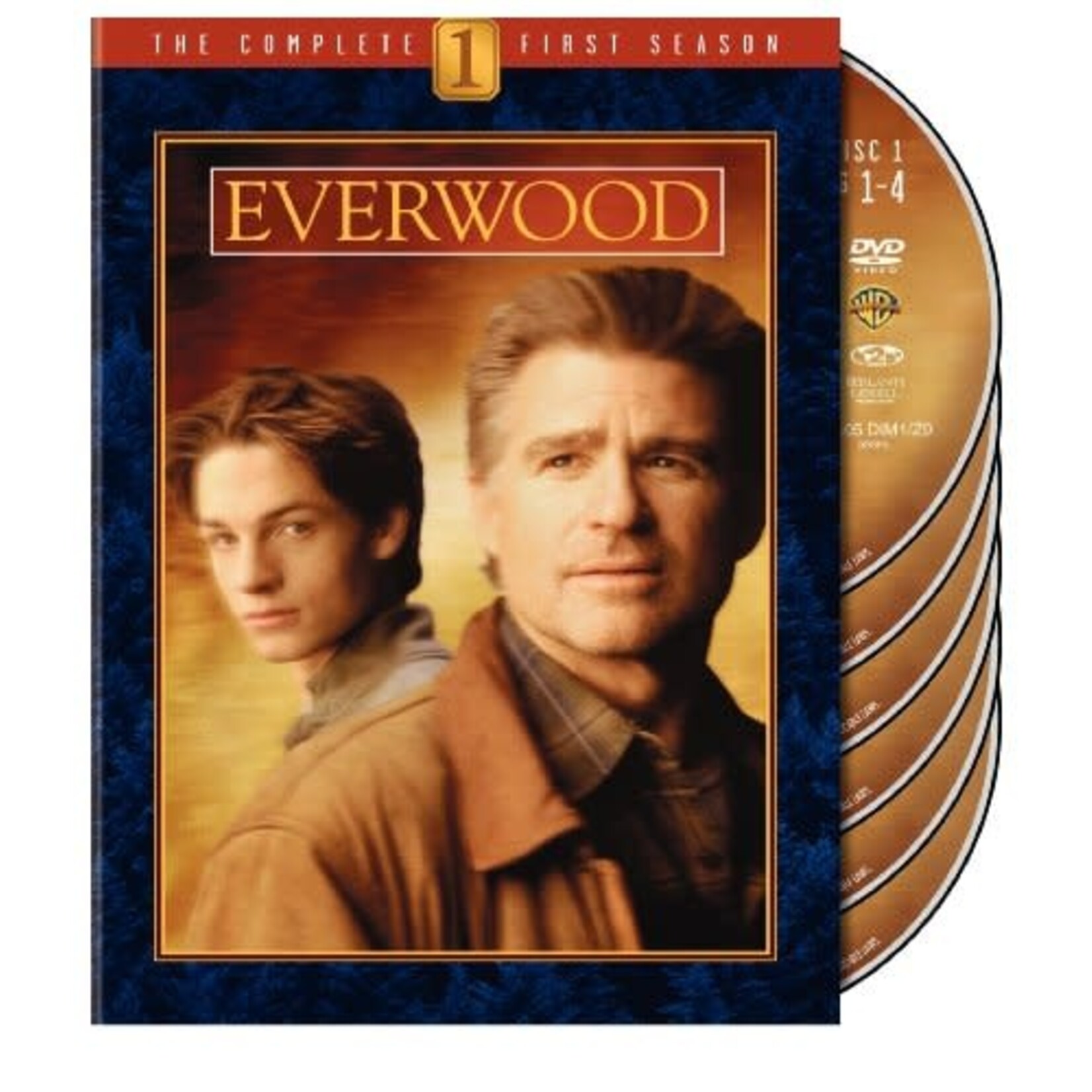Everwood - Season 1 [USED DVD]