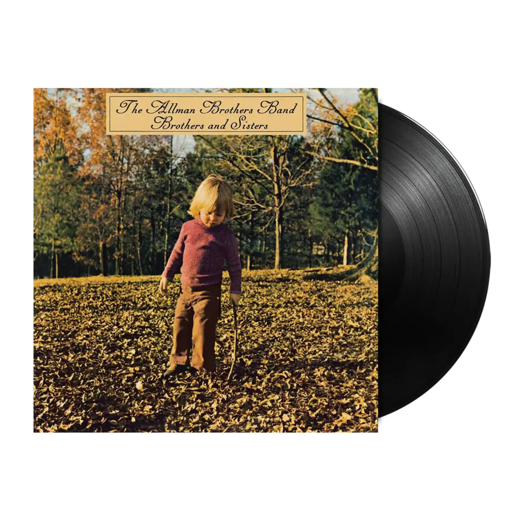 Allman Brothers Band - Brothers And Sisters [LP]