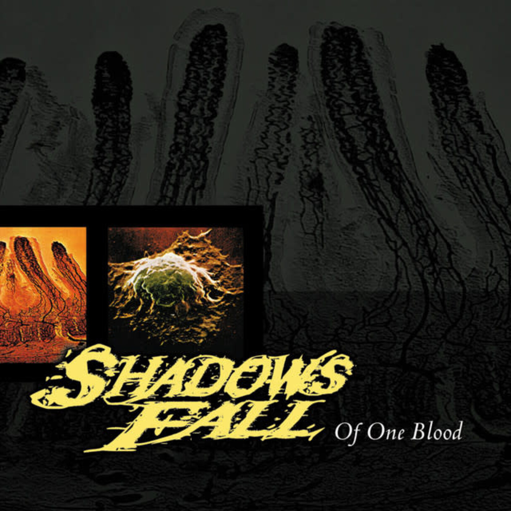 Shadows Fall - Of One Blood [USED CD]