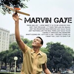 Marvin Gaye - Icon [USED CD]
