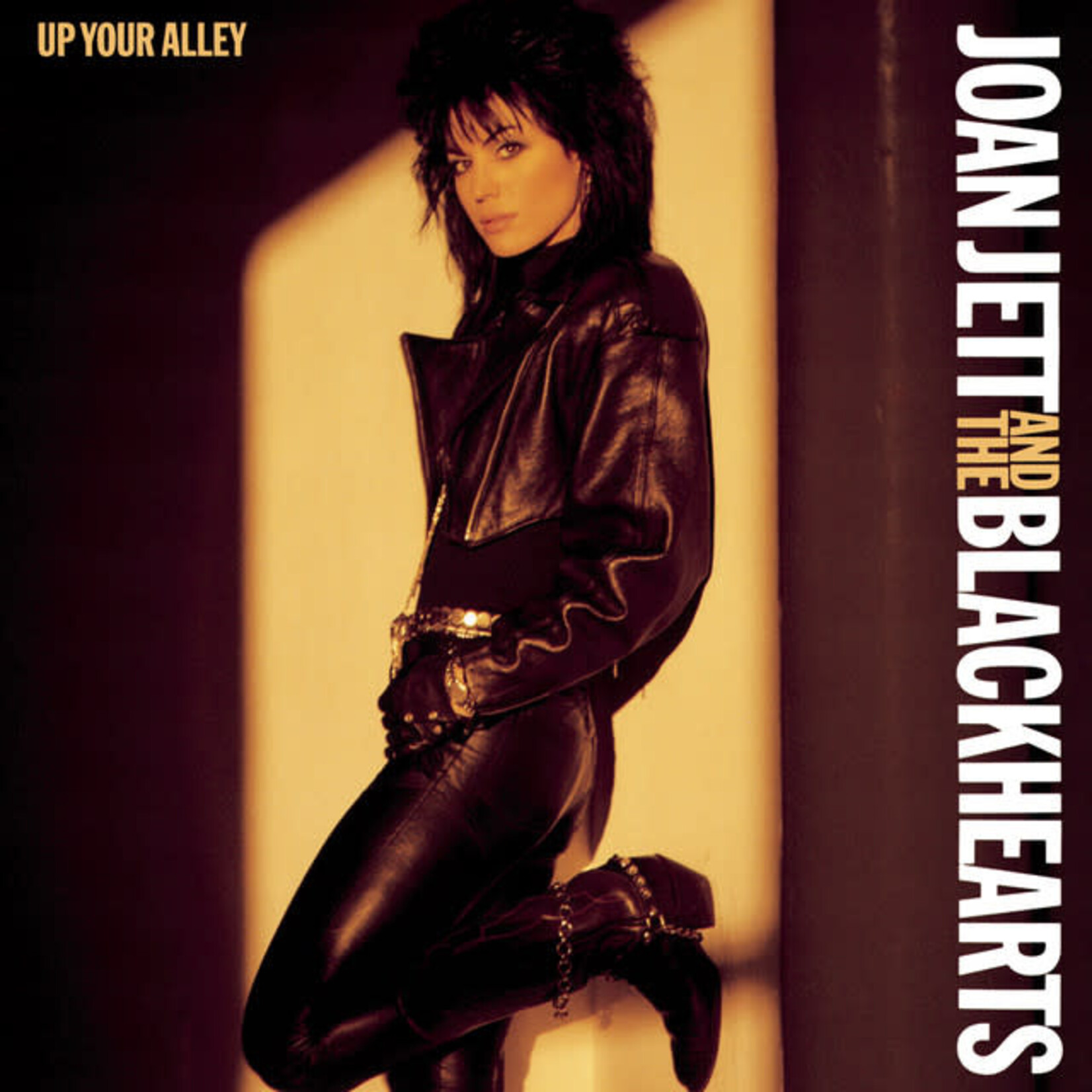 Joan Jett - Up Your Alley [CD]