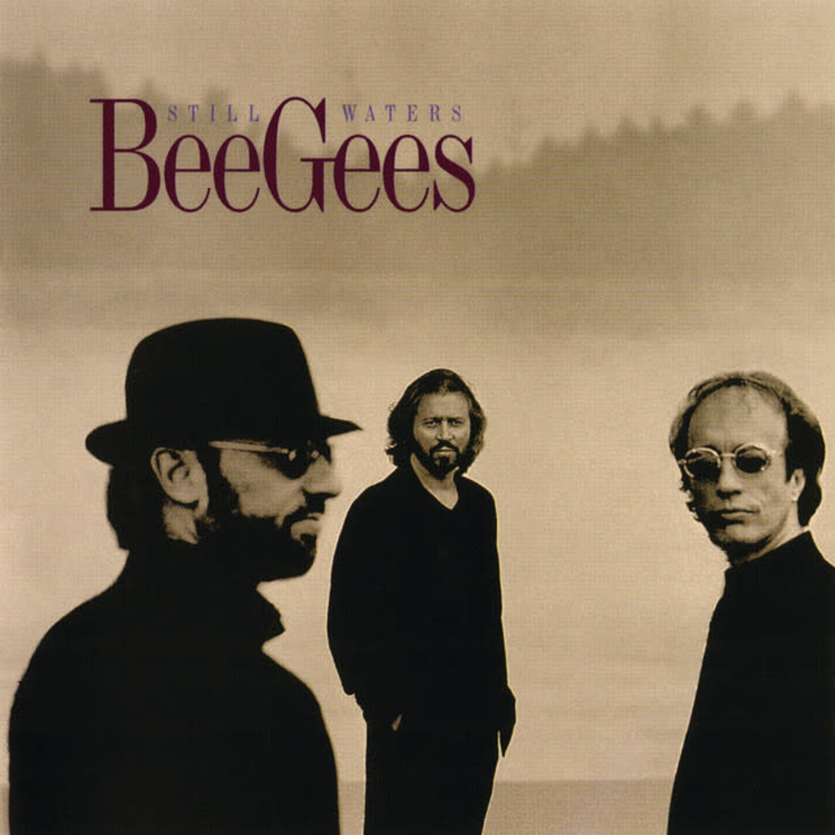 Bee Gees - Still Waters [USED CD]