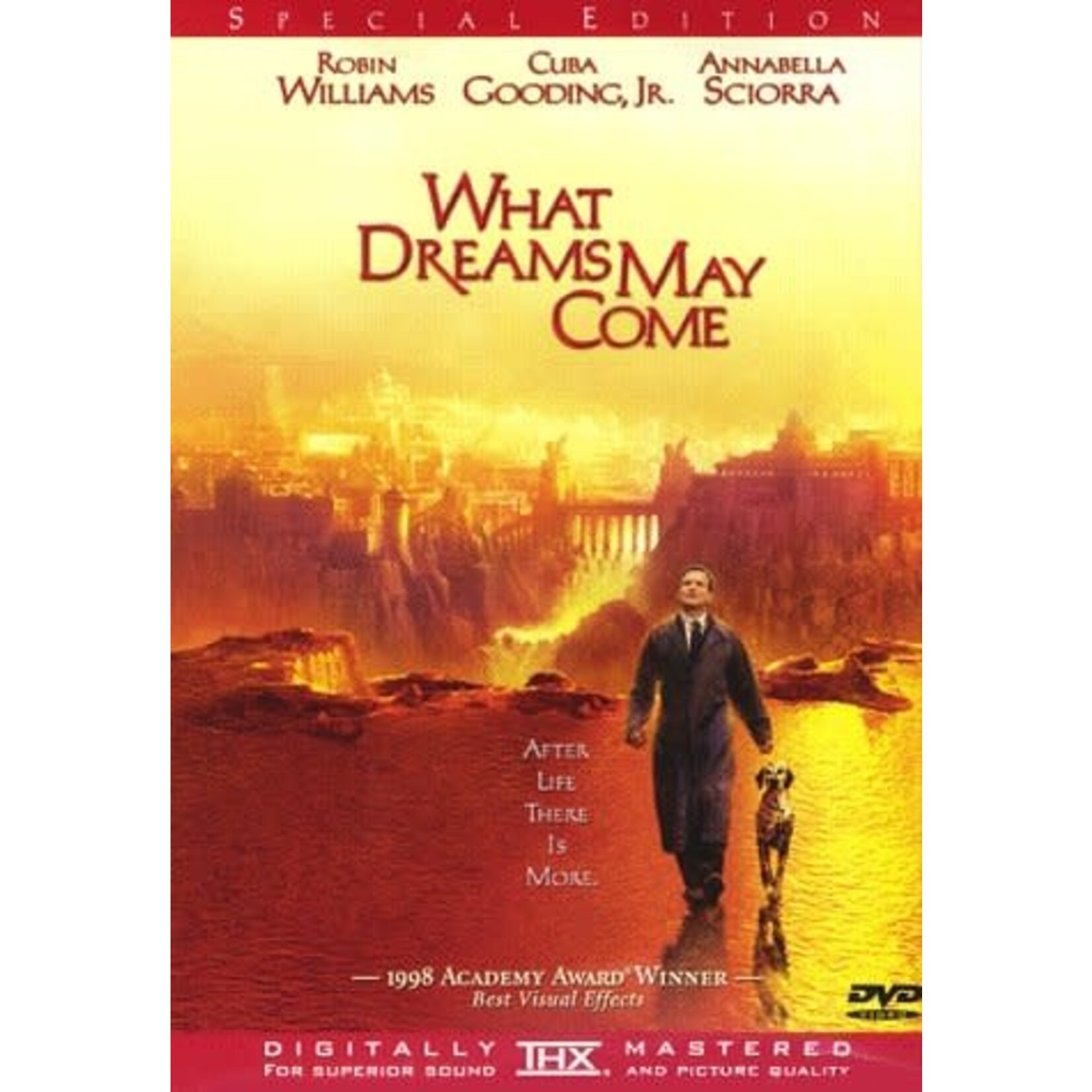 What Dreams May Come (1998) [USED DVD]