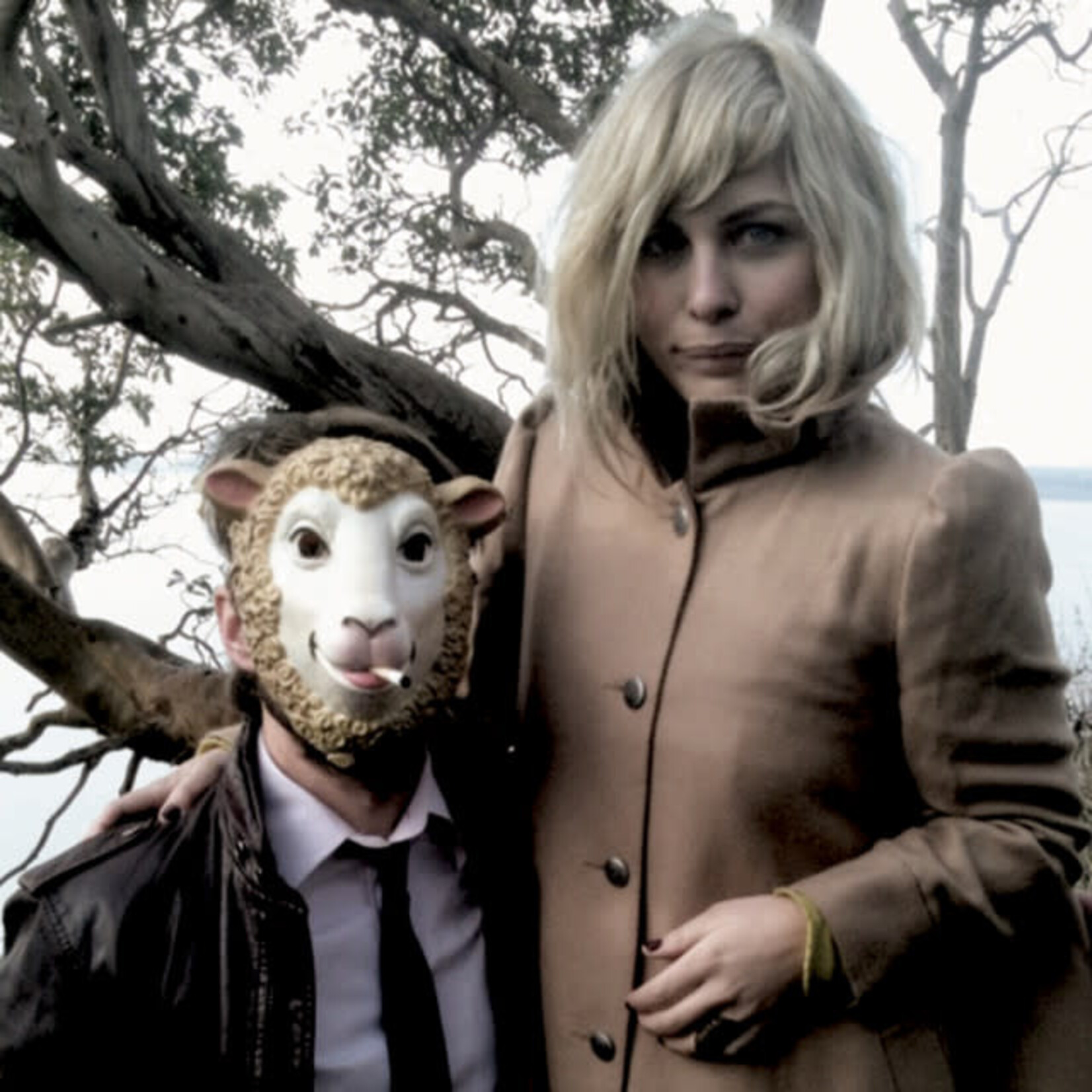 Head And The Heart - The Head And The Heart [USED CD]