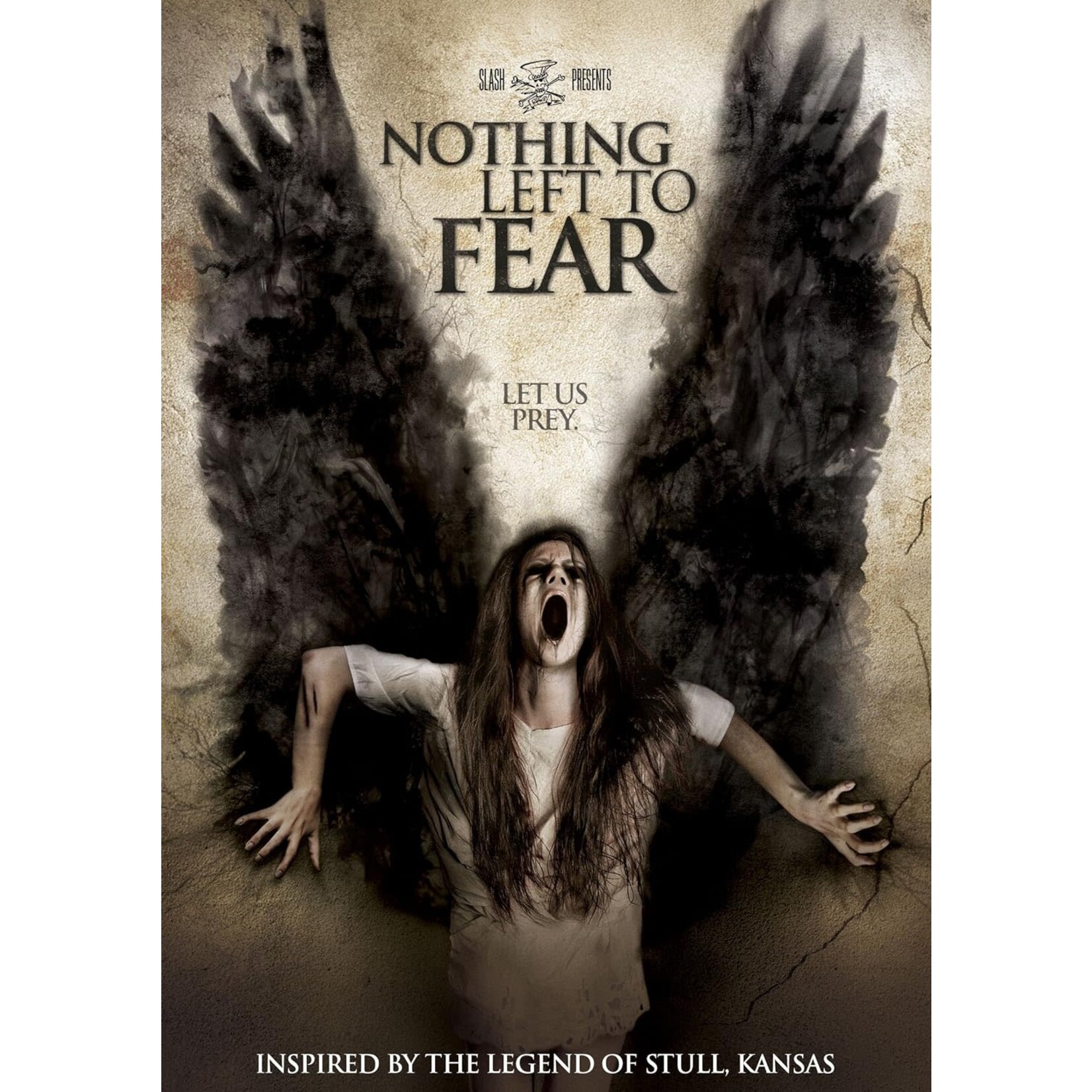 Nothing Left To Fear (2013) [USED DVD]