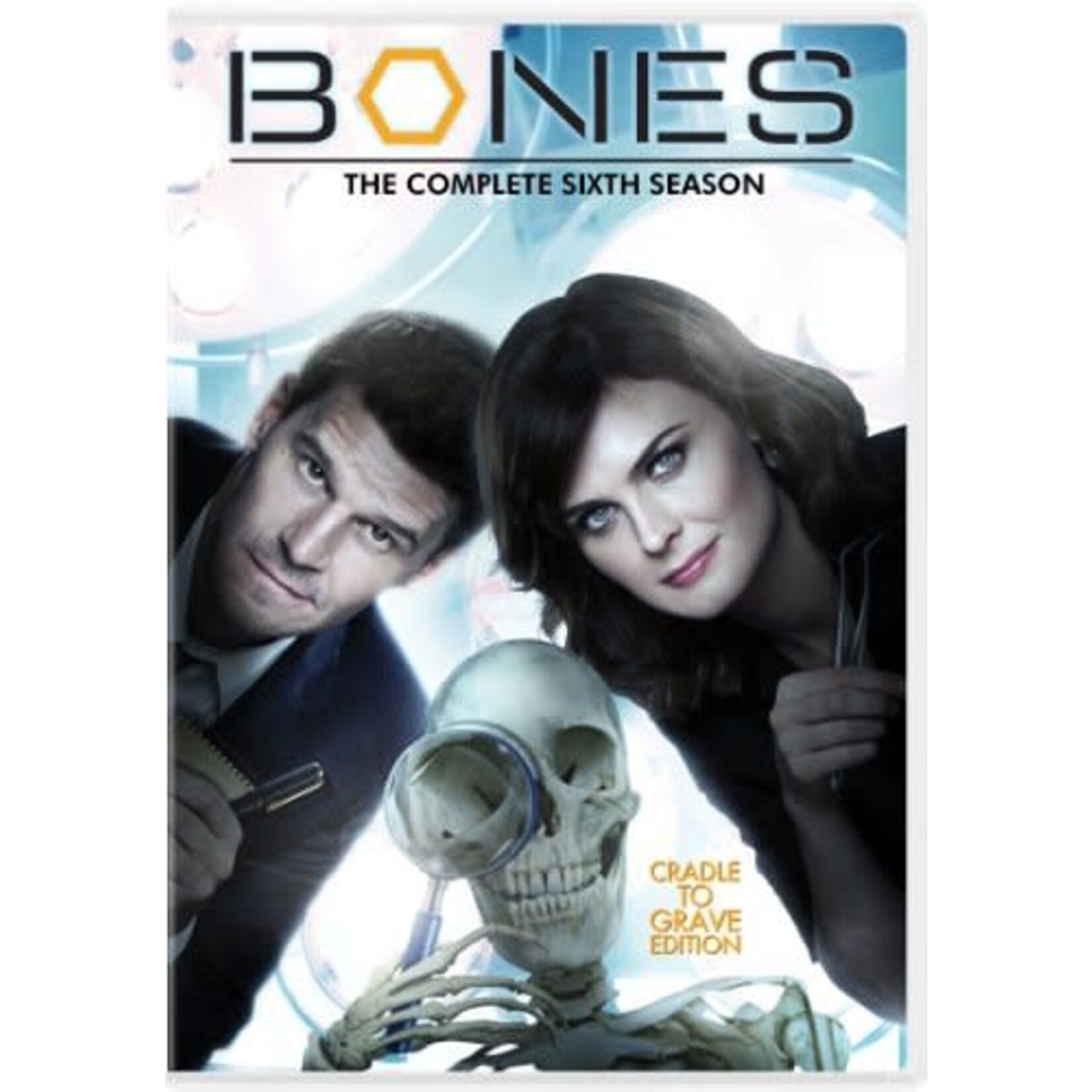 Bones - Season 6 [USED DVD] - The ODDs u0026 SODs Shoppe