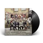 Mumford & Sons - Babel [LP]