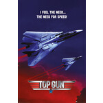 Poster - Top Gun: Need For Speed