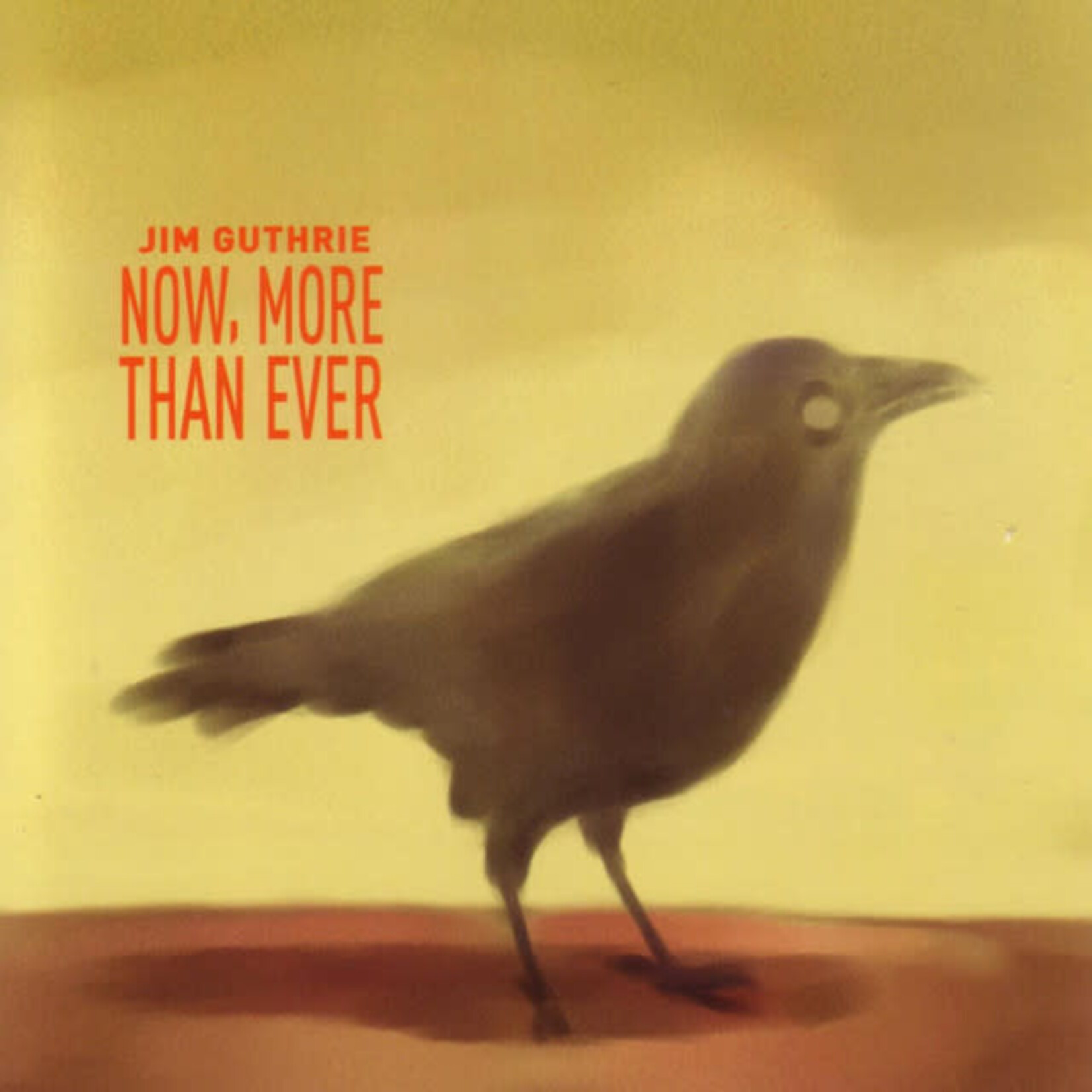 Jim Guthrie - Now, More Than Ever [USED CD]